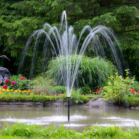 Water Fountain